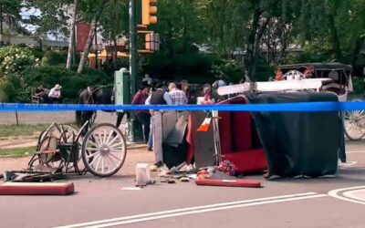 An 18-Year-Old Lost His Life in Central Park Yesterday. Let’s talk About Who’s Responsible.