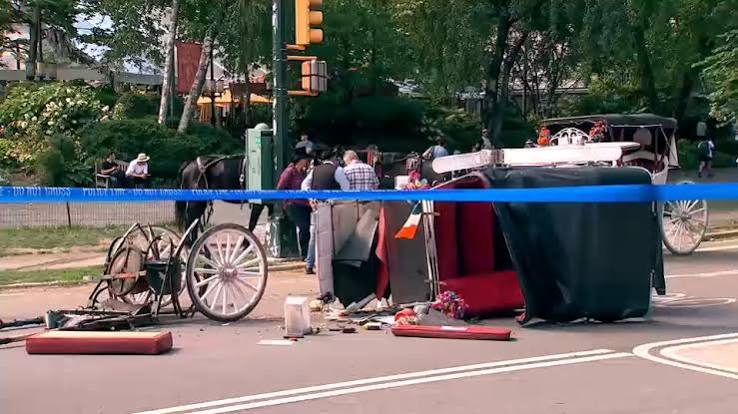 Central Park horse carriage accident